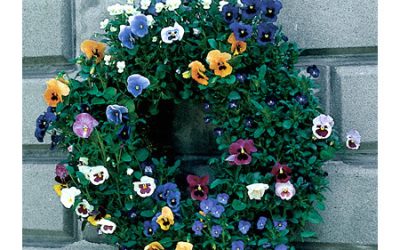 Social Saturday – Spring Flower Living Wreath