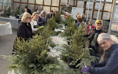 Social Saturday – Winter Porch Pot